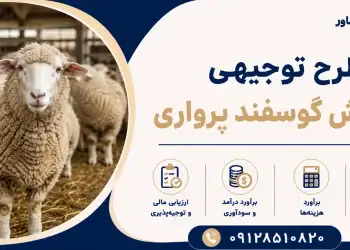 طرح پرورش گوسفند پرواری
