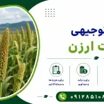 طرح کشت ارزن