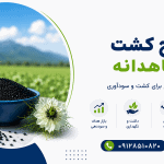 طرح کشت سیاهدانه
