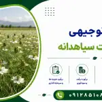 طرح کشت سیاهدانه