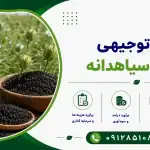 طرح کشت سیاهدانه