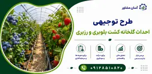 طرح احداث گلخانه کشت بلوبری و رزبری