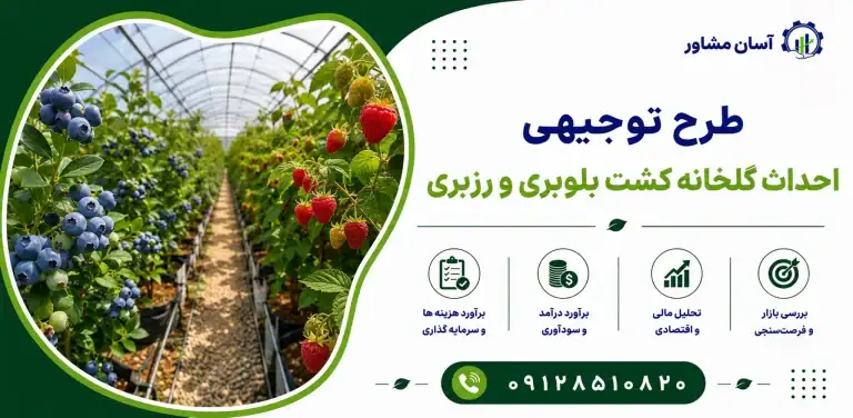 طرح احداث گلخانه کشت بلوبری و رزبری