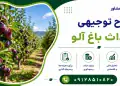 طرح احداث باغ آلو