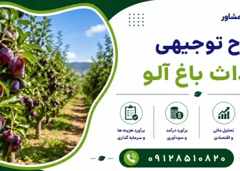 طرح احداث باغ آلو