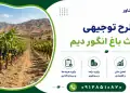 طرح احداث باغ انگور دیم