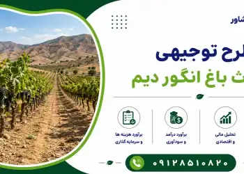 طرح احداث باغ انگور دیم