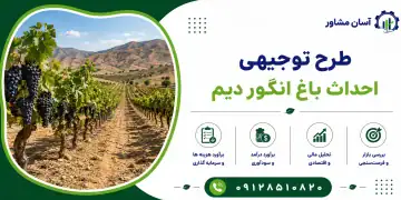 طرح احداث باغ انگور دیم