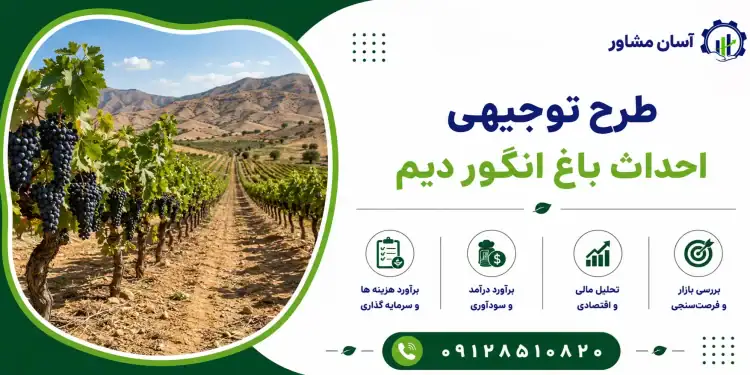 طرح احداث باغ انگور دیم
