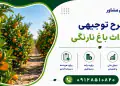 طرح احداث باغ نارنگی