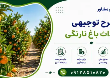 طرح احداث باغ نارنگی