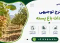 طرح احداث باغ پسته