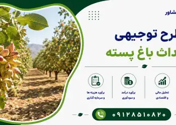 طرح احداث باغ پسته