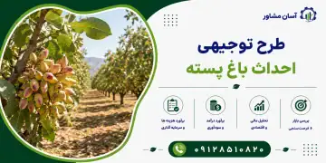 طرح احداث باغ پسته