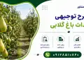 طرح احداث باغ گلابی