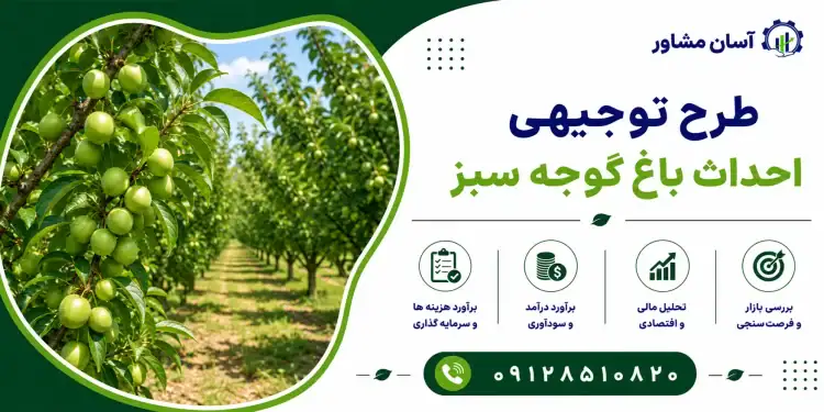 طرح احداث باغ گوجه سبز