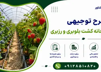 طرح احداث گلخانه کشت بلوبری و رزبری
