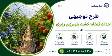 طرح احداث گلخانه کشت بلوبری و رزبری