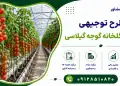 طرح احداث گلخانه گوجه گیلاسی