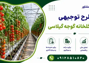 طرح احداث گلخانه گوجه گیلاسی