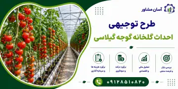 طرح احداث گلخانه گوجه گیلاسی