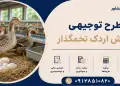 طرح پرورش اردک تخمگذار