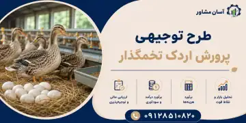 طرح پرورش اردک تخمگذار