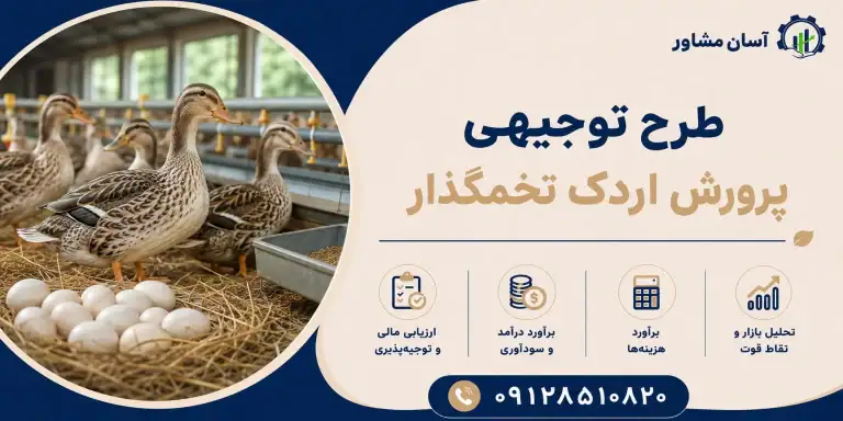طرح پرورش اردک تخمگذار