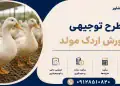 طرح پرورش اردک مولد