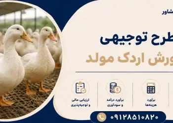 طرح پرورش اردک مولد