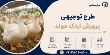 طرح پرورش اردک مولد