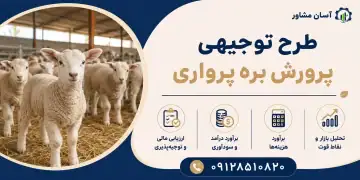 طرح پرورش بره پرواری