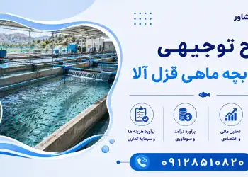 طرح پرورش بچه ماهی قزل آلا