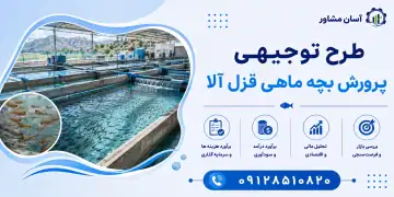 طرح پرورش بچه ماهی قزل آلا