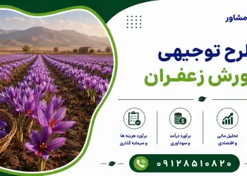 طرح پرورش زعفران