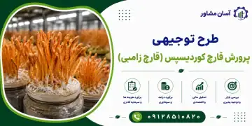 طرح پرورش قارچ کوردیسپس (قارچ زامبی)