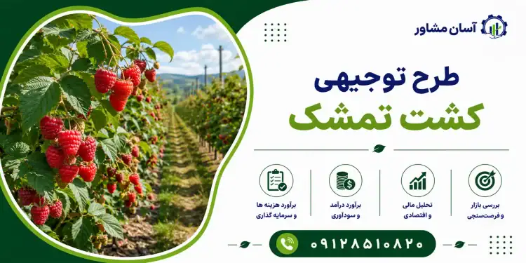 طرح کشت تمشک
