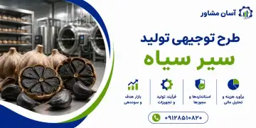 طرح تولید سیر سیاه